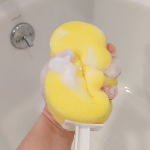Long Handle Round Sponge