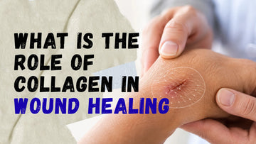 What is the role of collagen in wound healing?